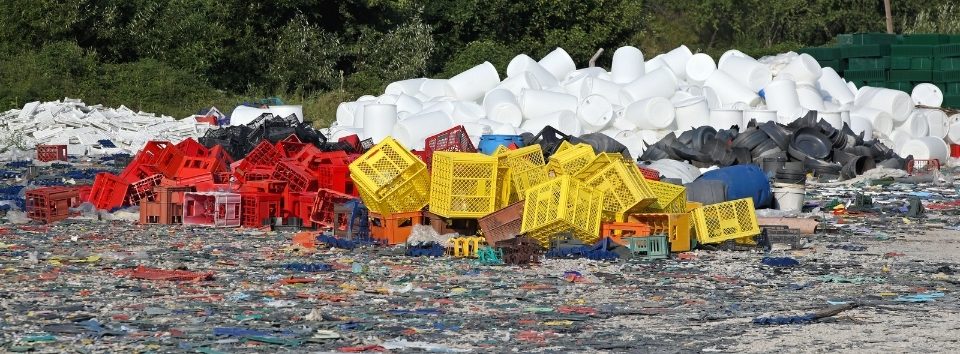 Selçuk Plastik Alımı, Selçuk Plastik Alımı, Selçuk Plastik Hurda Alımı, Selçuk Plastik Hurda Alımı Fiyatları, Plastik Alımı Selçuk, Selçuk Plastik Alan Yerler, Selçuk Hurda Plastik Toplama, Selçuk Hurda Plastik Fiyatları