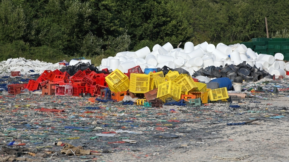 Selçuk Plastik Alımı, Selçuk Plastik Alımı, Selçuk Plastik Hurda Alımı, Selçuk Plastik Hurda Alımı Fiyatları, Plastik Alımı Selçuk, Selçuk Plastik Alan Yerler, Selçuk Hurda Plastik Toplama, Selçuk Hurda Plastik Fiyatları